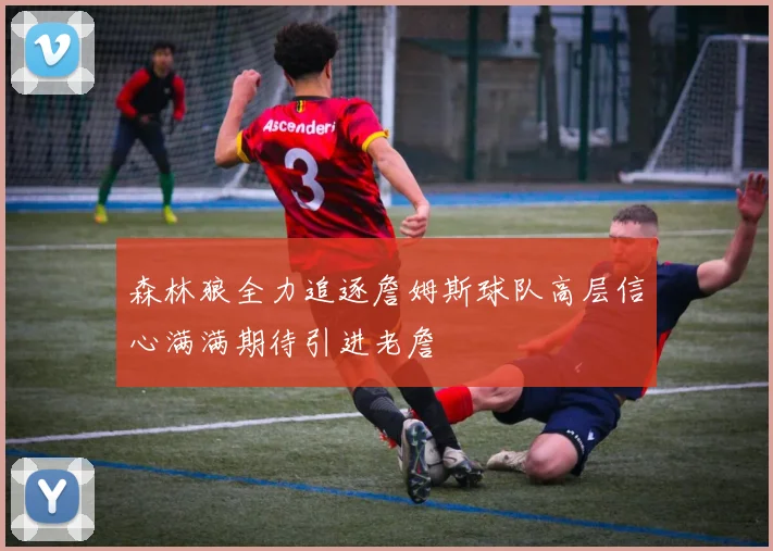 森林狼全力追逐詹姆斯球队高层信心满满期待引进老詹