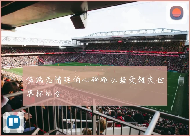 伤病无情廷伯心碎难以接受错失世界杯机会
