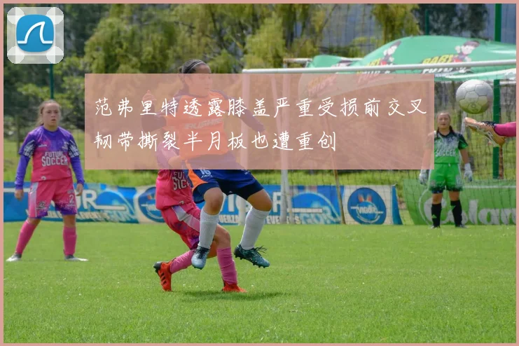范弗里特透露膝盖严重受损前交叉韧带撕裂半月板也遭重创